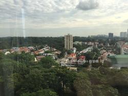 Rich Mansion (D10), Condominium #122181562